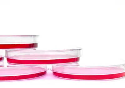 Learn how oxygen levels affect cell culture health